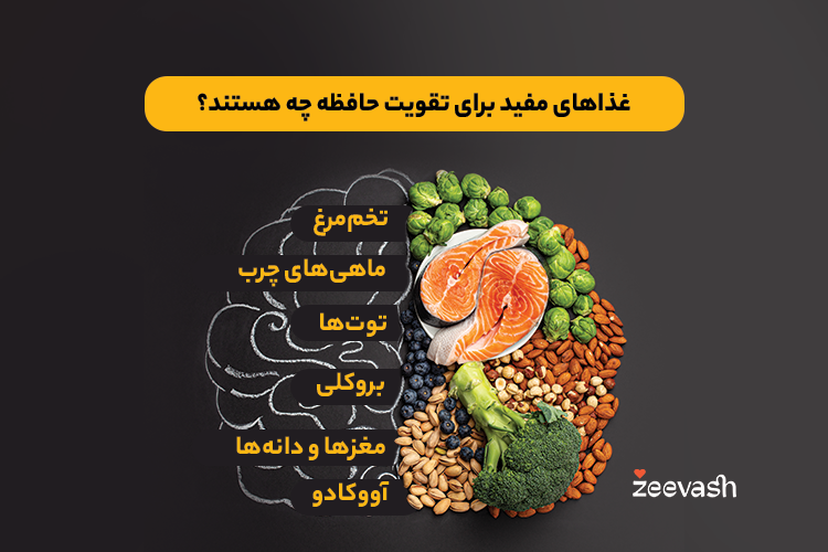 غذاهای مفید برای تقویت حافظه چه هستند؟